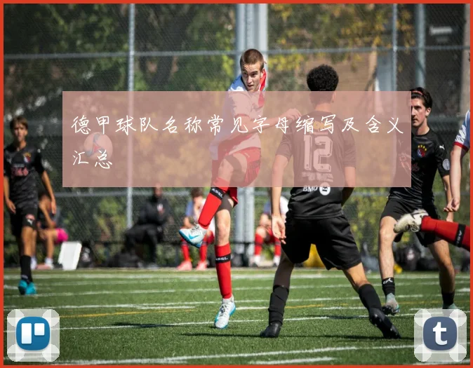 德甲球队名称常见字母缩写及含义汇总