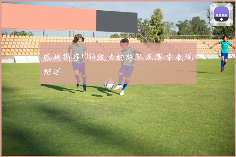 威姆斯在CBA效力的球队及赛季表现综述